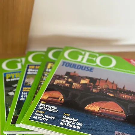 Le Loft - Centre - Capitole Lejlighed *